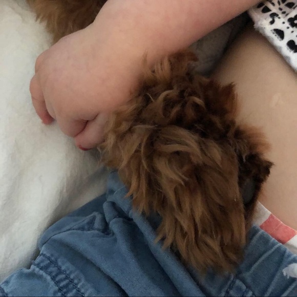 Hello! - Picture 8 of 8